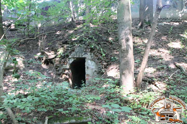 Fort Wilczy (Wolf Schanze)
